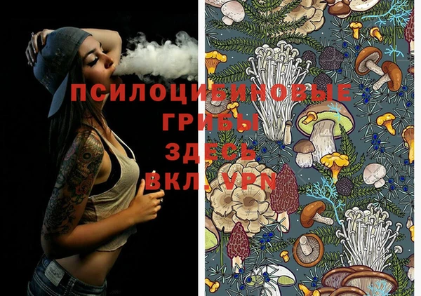 гидропоника Елизово