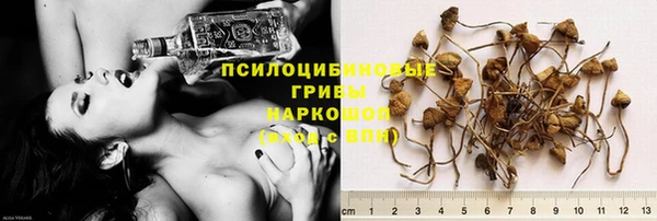 гидропоника Елизово