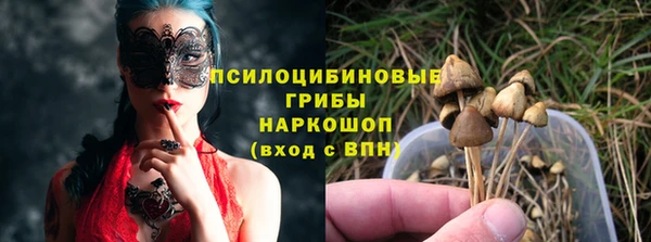 гидропоника Елизово