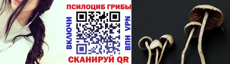 Купить  Котельники  Галлюциногенные грибы Psilocybe 