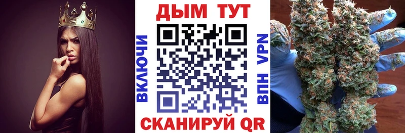 Бошки Шишки гибрид  Купить закладки  Котельники 